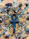 IMG_20260124_133138_copy_5999x7968.webp